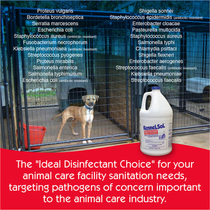 KennelSol Germicidal Detergent & Deodorant  1 Gallon