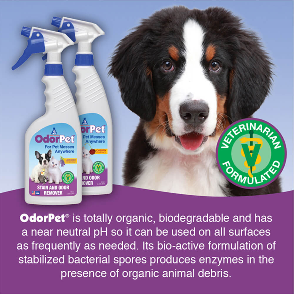 odorpet -rtu 16oz w/sprayer lavender scent