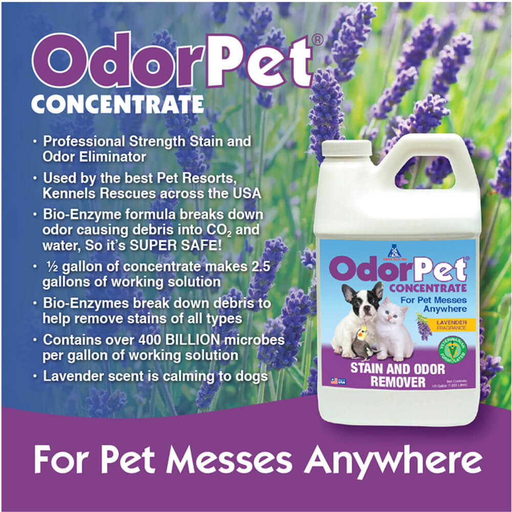 odorpet - 1/2 gal  lavender scent