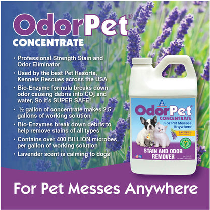 OdorPet - 1/2 gal  Lavender Scent