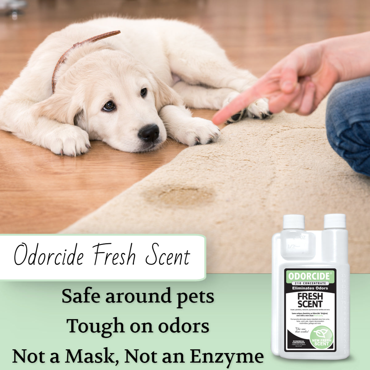 odorcide fresh scent concentrate  16 oz