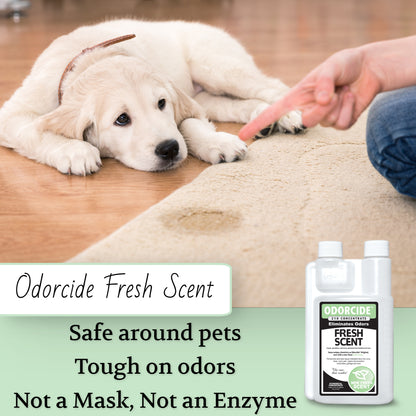 Odorcide Fresh Scent Concentrate  16 oz