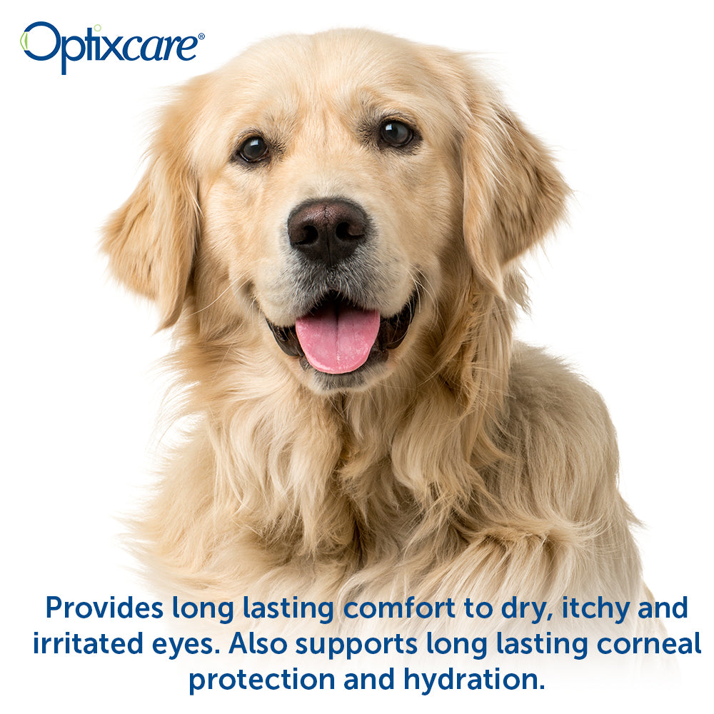 optixcare eye lube plus 20gm