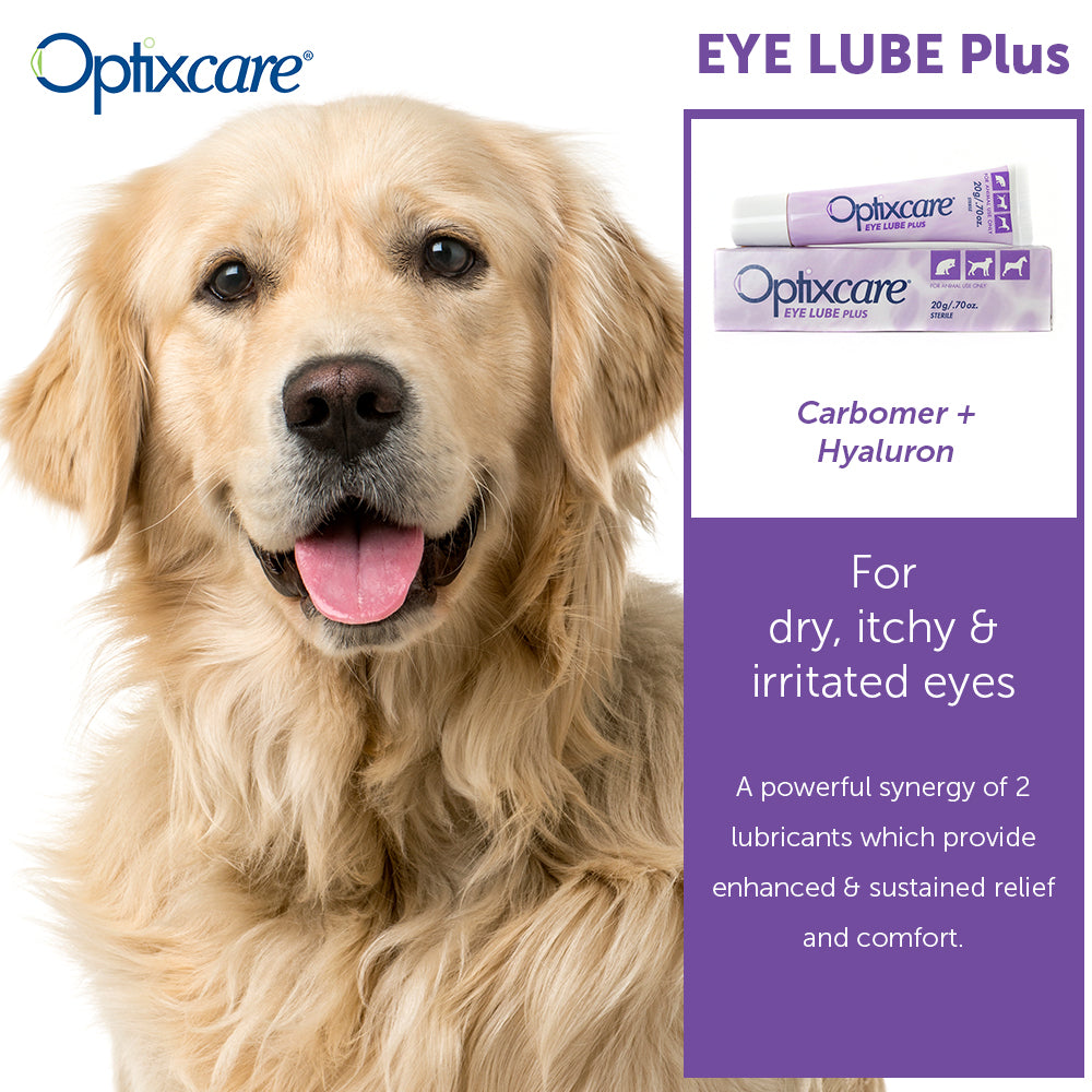 optixcare eye lube plus 20gm