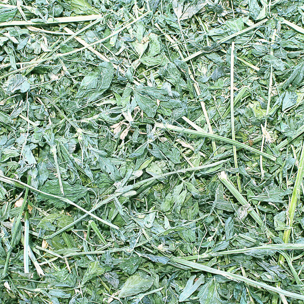 grandpa's best alfalfa loose boxed hay,  20 lbs