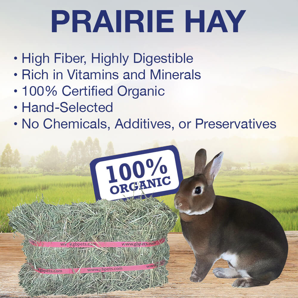 grandpa's best prairie hay, 10 lbs