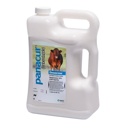 Rx Panacur Beef & Dairy Cattle Dewormer Suspension 10% x 1 gallon