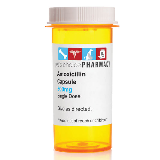 Rx Amoxicillin 500mg  x 1 capsule