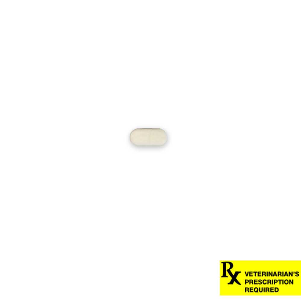 rx prednistab (prednisolone) 5mg x 1 tablet