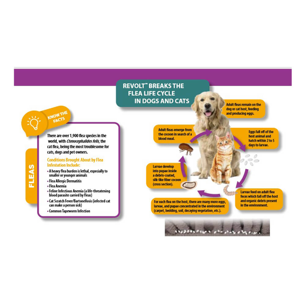 rx revolt (selamectin)  dog 10.1-20 lbs  6pk