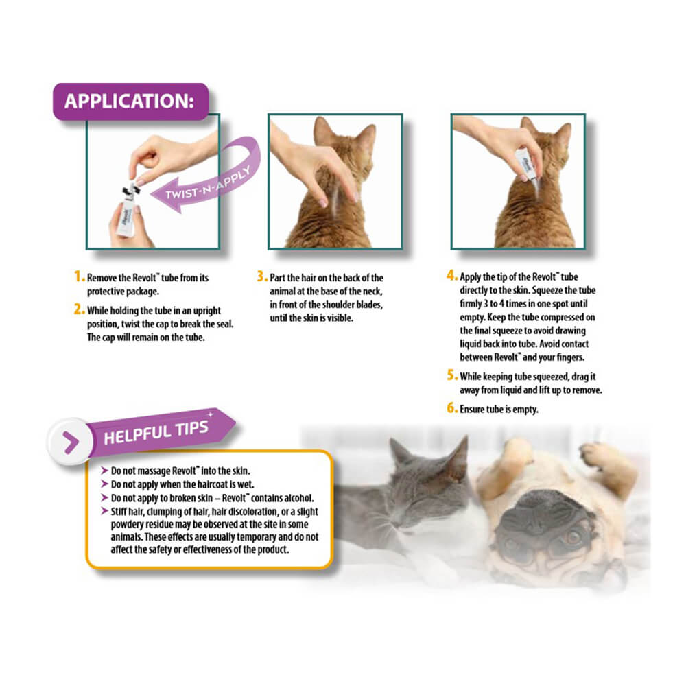 rx revolt (selamectin)  dog 10.1-20 lbs  6pk