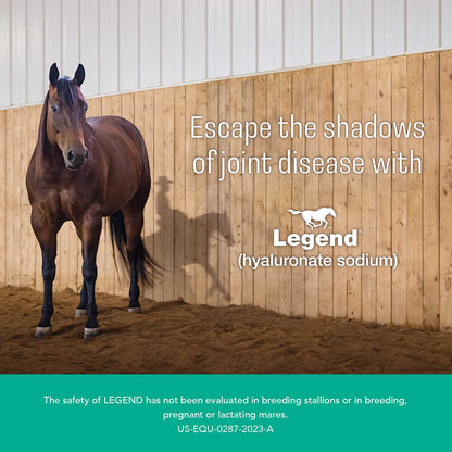 Rx Legend Injectable Solution, 10mg/ml x 4 ml