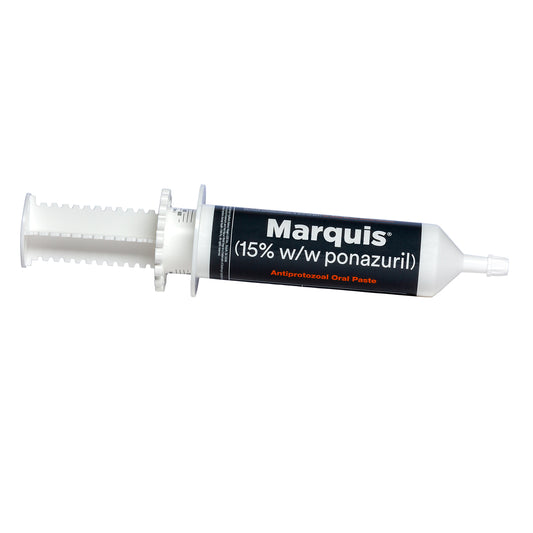 Rx Marquis Antiprotozoal Oral Paste x 127 gm tube