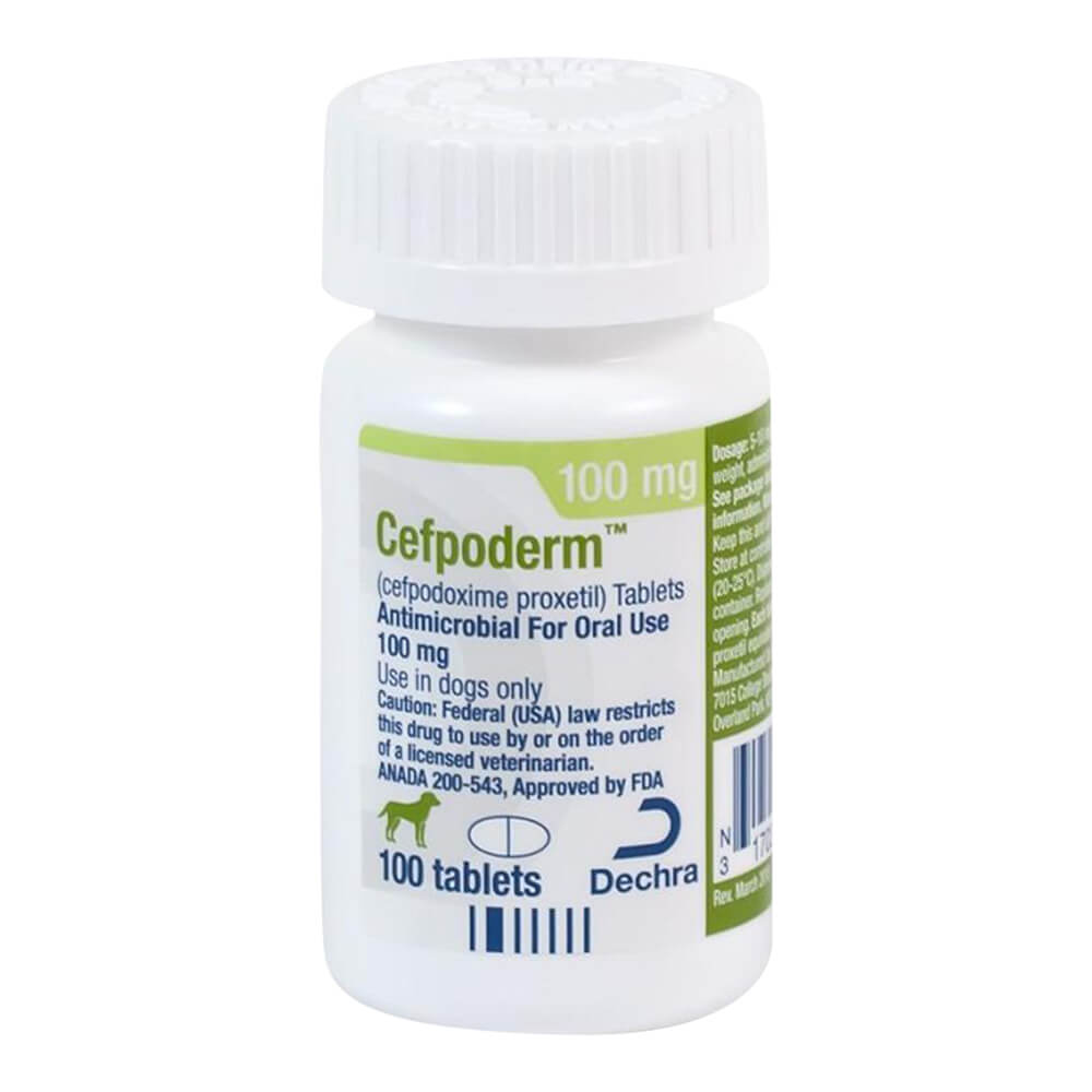rx cefpodoxime 100mg x 100 tablets