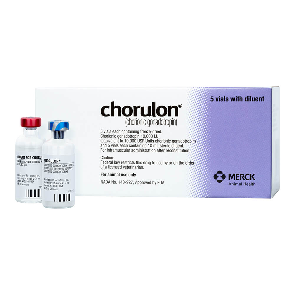 rx chorulon hcg 10 000iu injection x 10ml bottle