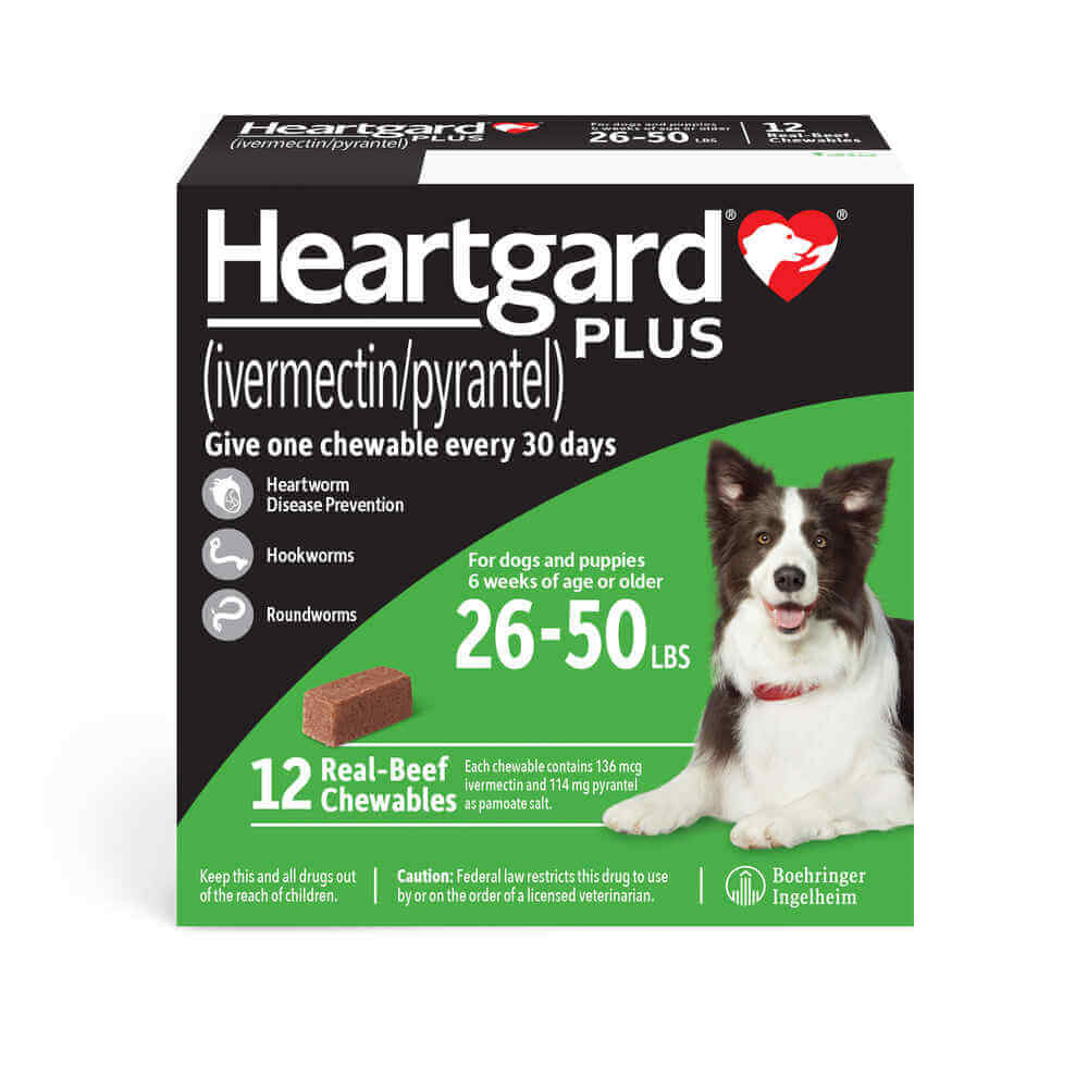 rx heartgard plus 26-50 lbs  12 month (green)