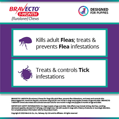 Rx Bravecto 1 month  4.4-9.9lbs x 1 tablet