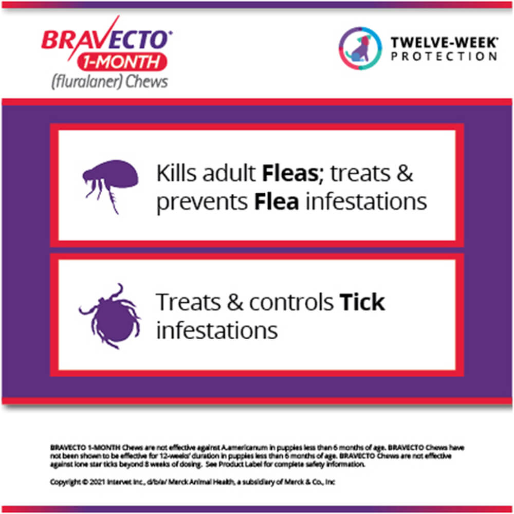rx bravecto 1 month 9.9-22lbs x 1 tablet