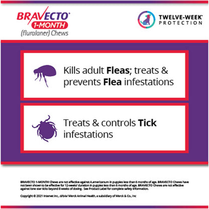 Rx Bravecto 1 month 9.9-22lbs x 1 tablet