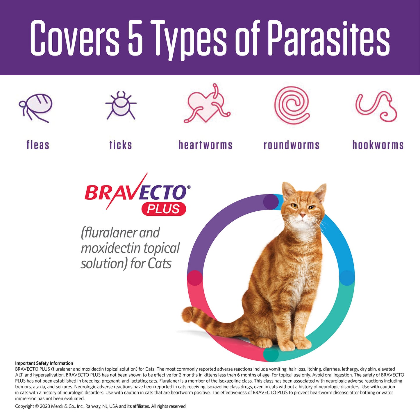 rx bravecto plus topical cat 2.6-6.2lbs x 1 tube