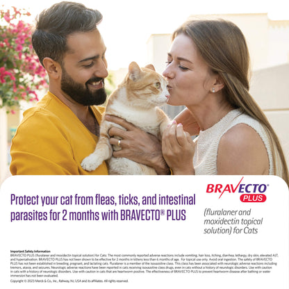Rx Bravecto Plus Topical Cat 2.6-6.2lbs x 1 tube