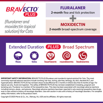 Rx Bravecto Plus Topical Cat 2.6-6.2lbs x 1 tube