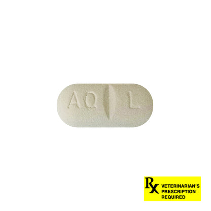 Rx Apoquel 16mg x 1 tablet