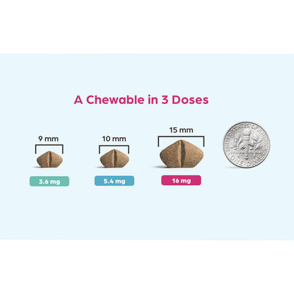 Rx Apoquel Chewable 16mg, 60ct
