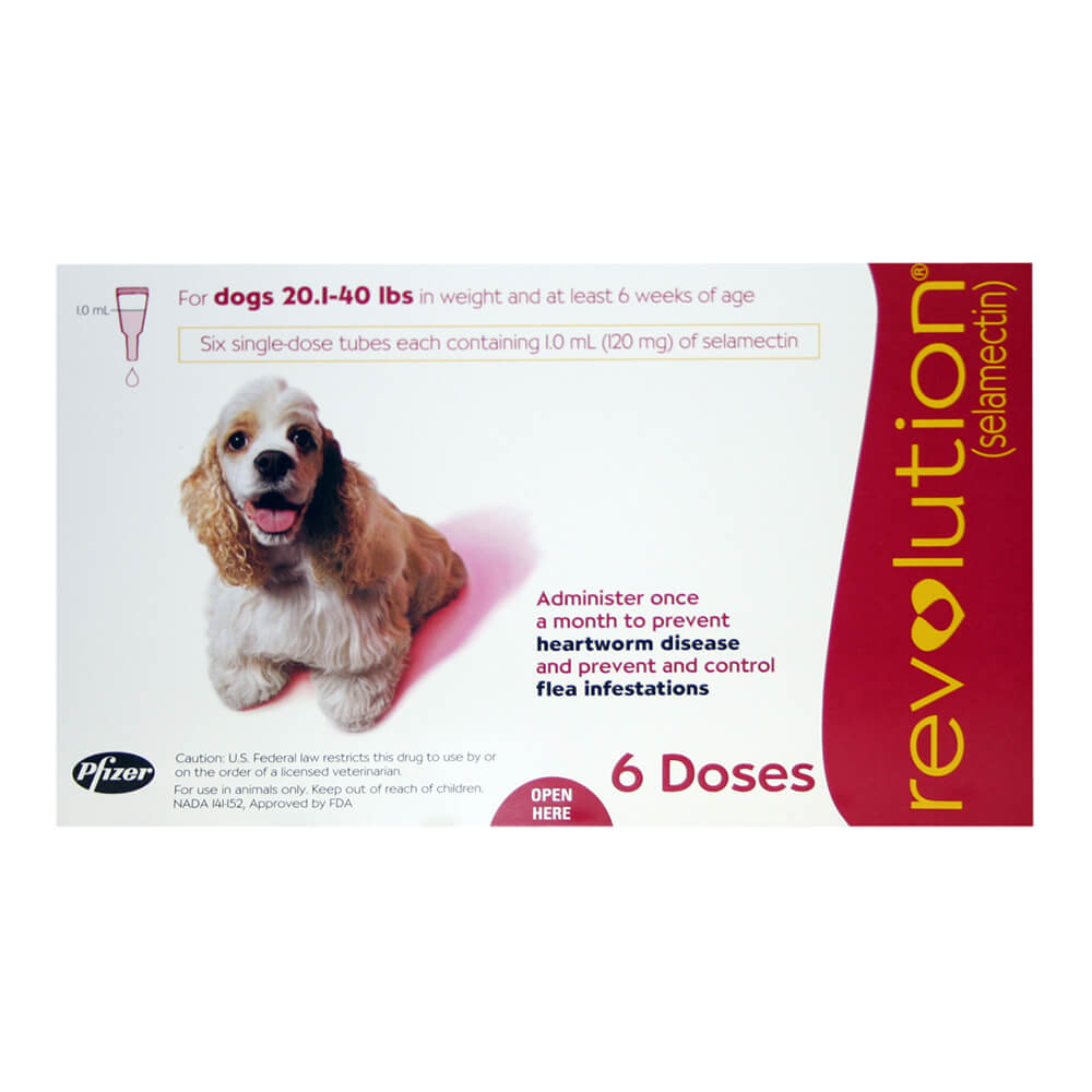 rx revolution canine 20.1-40lbs x 6 month