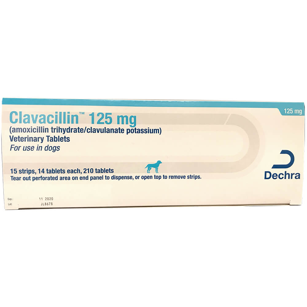 rx clavacillin 125mg x 210 tablets