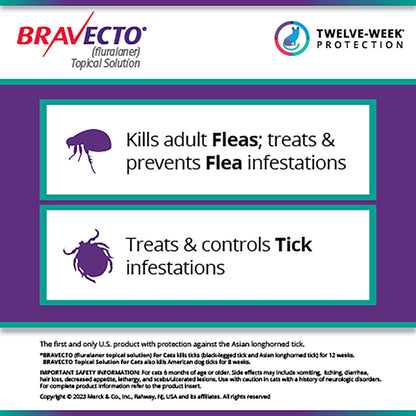 Rx Bravecto topical feline  13.8-27.50lbs x 1 tube