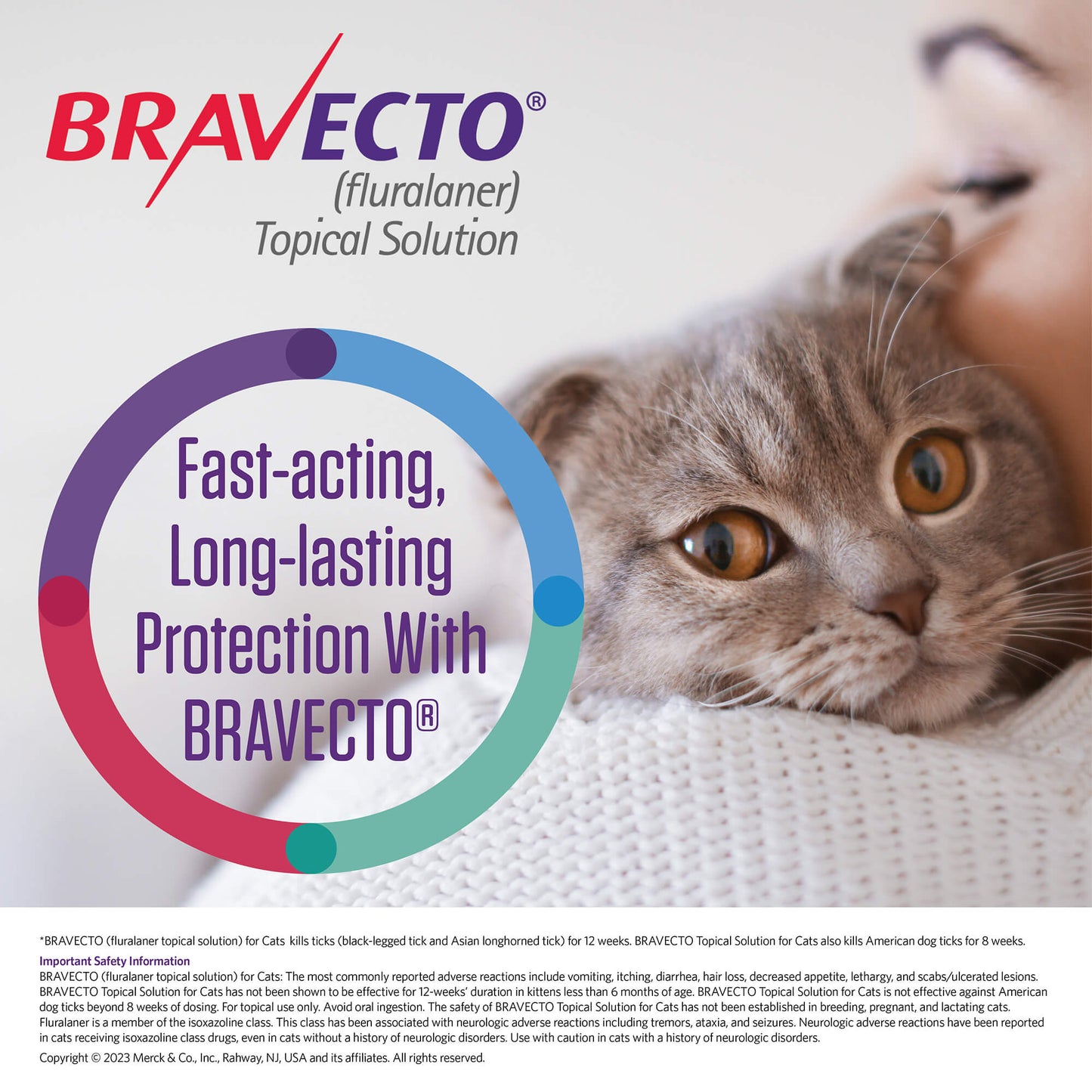 rx bravecto topical feline 6.2-13.8lbs x 1 tube