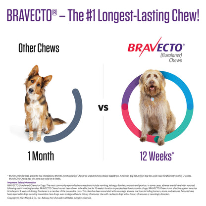 Rx Bravecto 88-123lbs x 1 chew