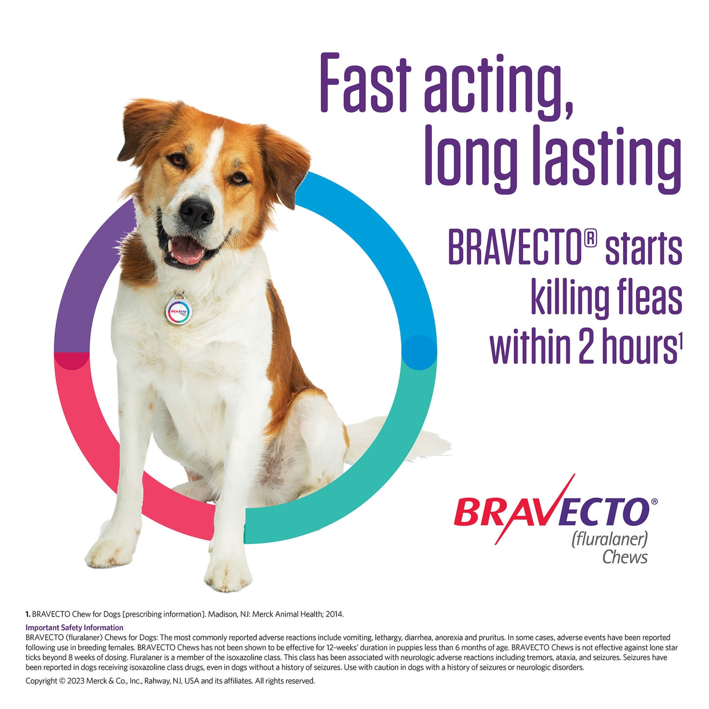 rx bravecto 88-123lbs x 1 chew