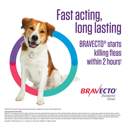 Rx Bravecto 88-123lbs x 1 chew