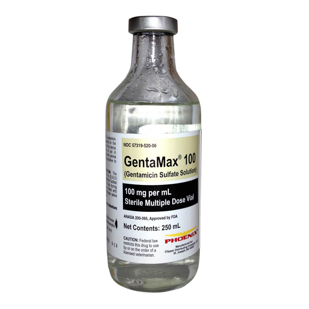 rx gentamax 100mg/ml injection x 250 ml bottle