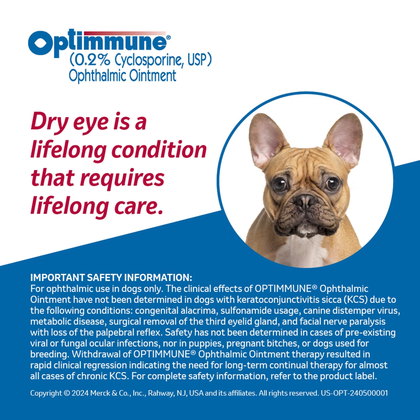 rx optimmune opth ointment x 3.5gm tube