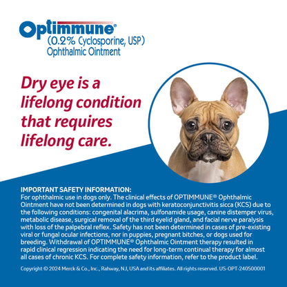 Rx Optimmune opth ointment x 3.5gm tube