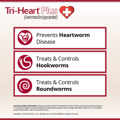 Rx Tri-Heart Plus 51-100lbs (brown) x 6 tablets