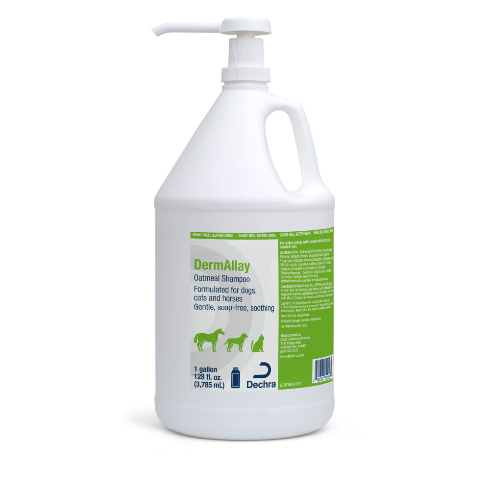 dermallay oatmeal shampoo gallons