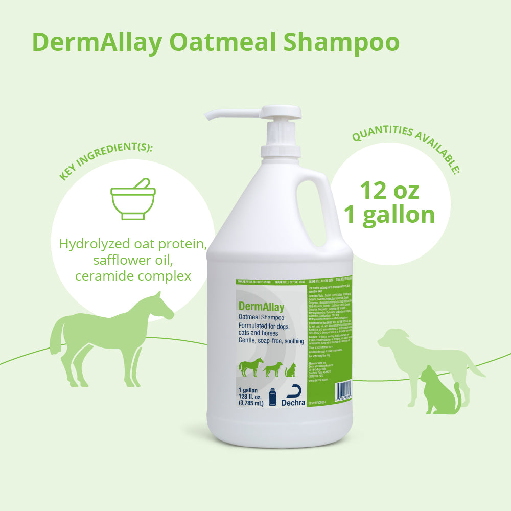 dermallay oatmeal shampoo gallons