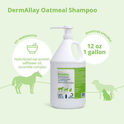 Dermallay Oatmeal Shampoo Gallons