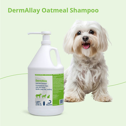 Dermallay Oatmeal Shampoo Gallons