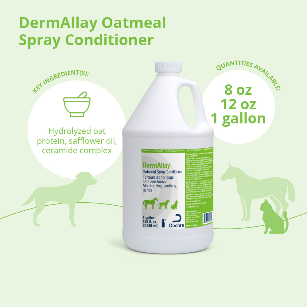 dermallay oatmeal conditioner gallons