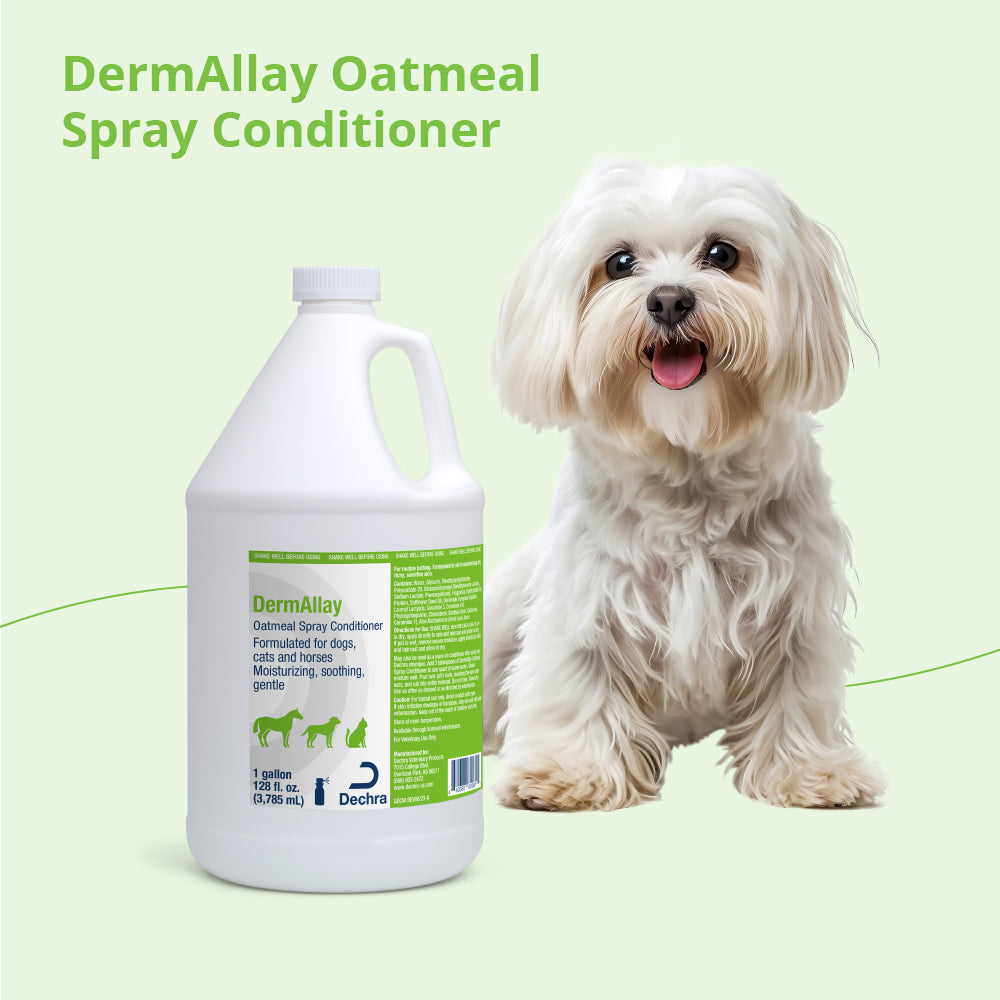 dermallay oatmeal conditioner gallons