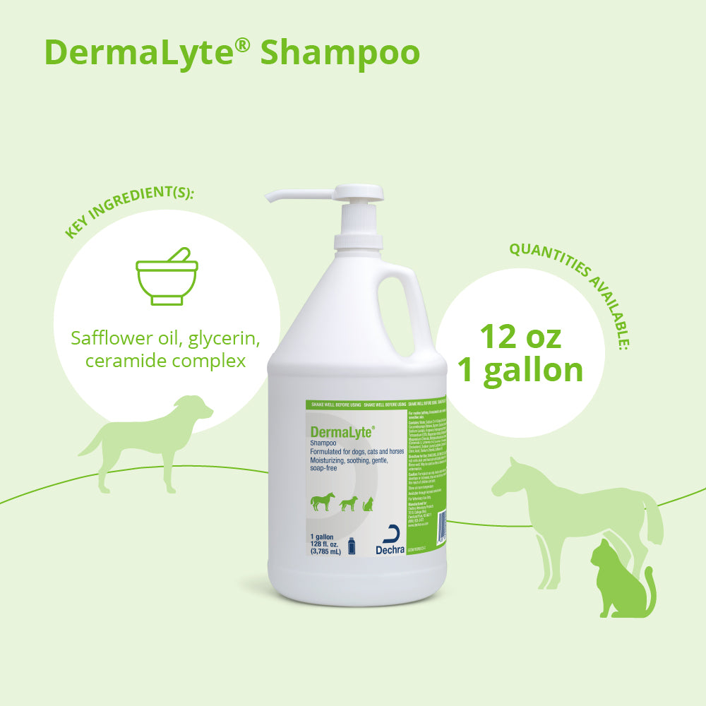 dermalyte shampoo gallon