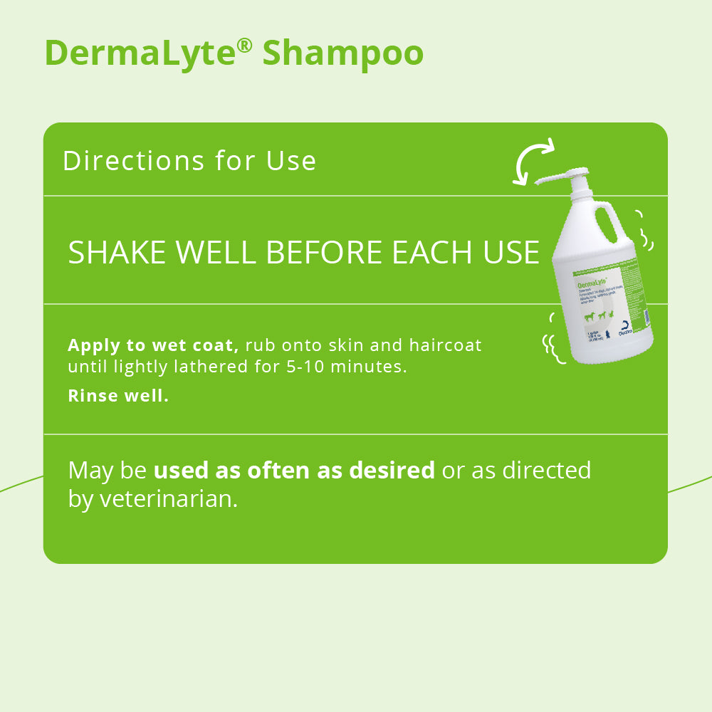 dermalyte shampoo gallon