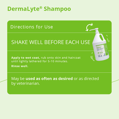 Dermalyte Shampoo Gallon