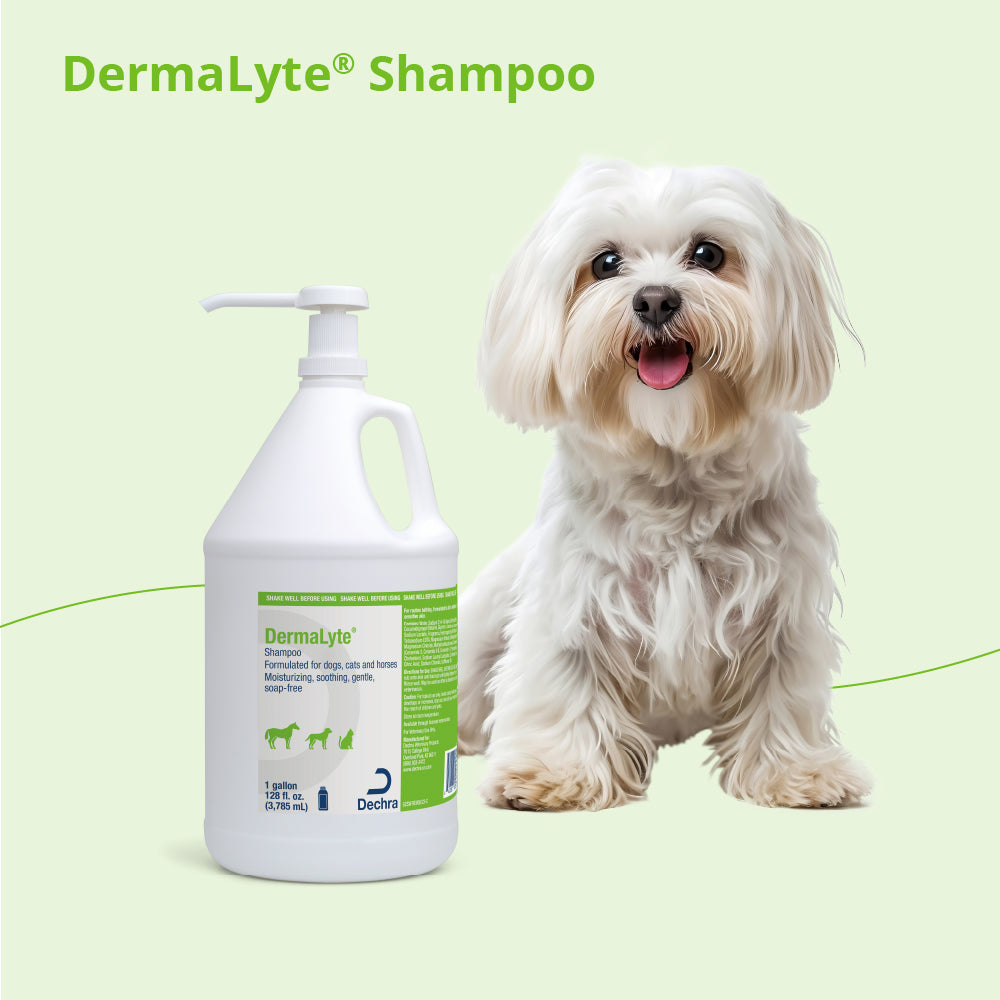 dermalyte shampoo gallon