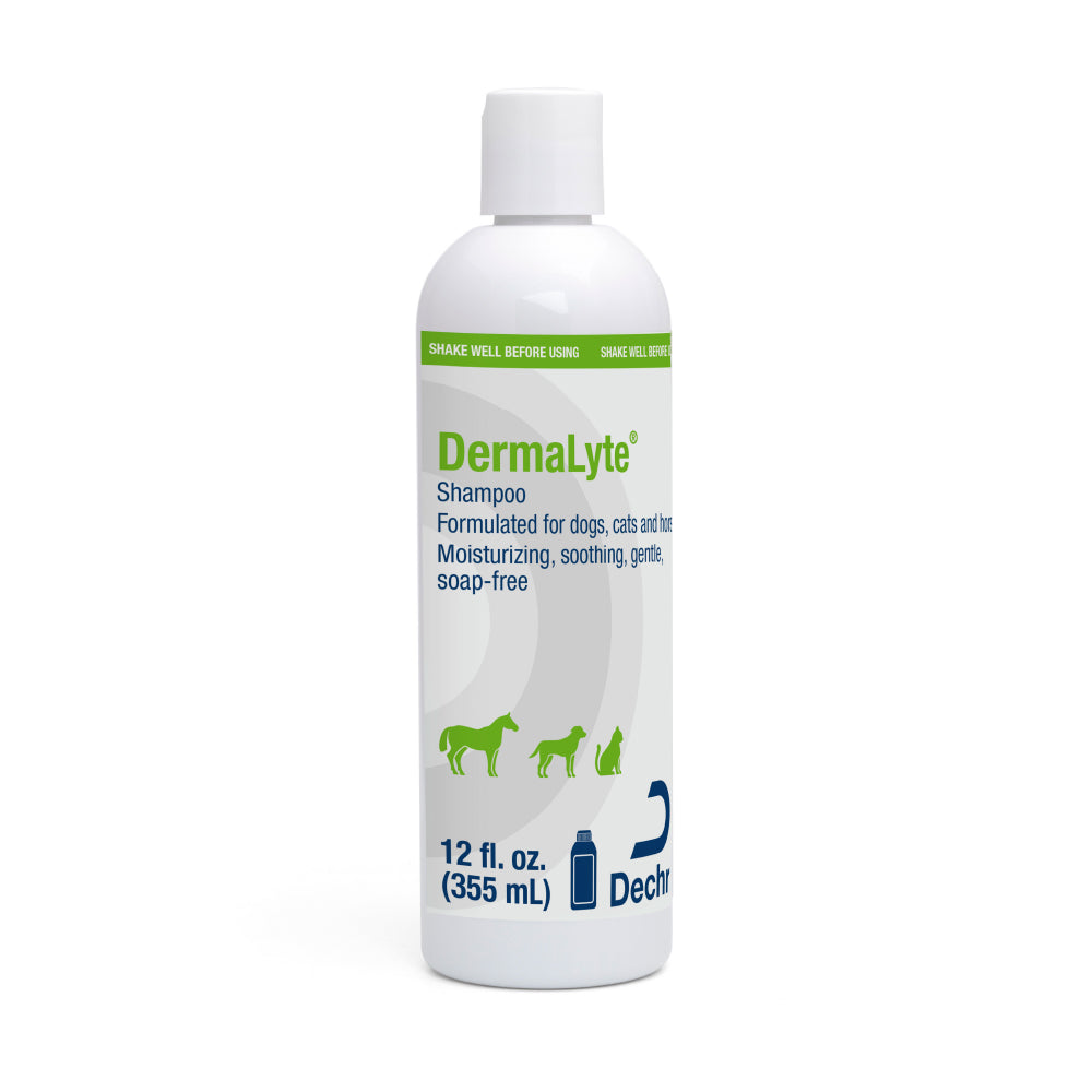 dermalyte shampoo 12 ounce